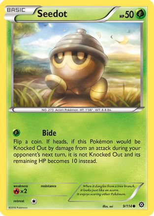 Seedot 9/114 - XY Steam Siege Reverse Holofoil