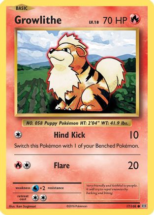 Growlithe 17/108 - XY Evolutions