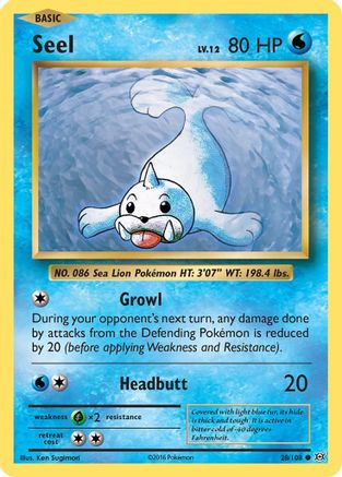 Seel 28/108 - XY Evolutions