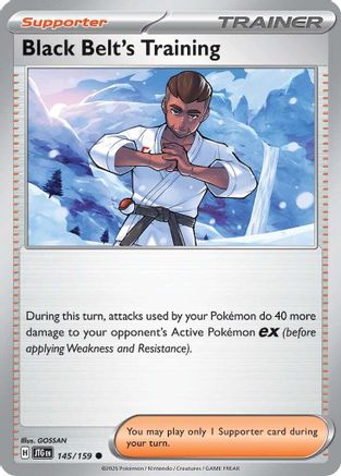 Black Belt's Training - 145/159 145 - SV09 Journey Together Reverse Holofoil