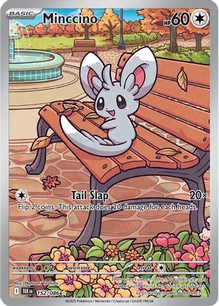 Minccino - 157/086 157 - SV Black Bolt Holofoil