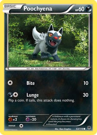 Poochyena 53/119 - XY Phantom Forces