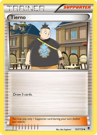 Tierno 107/119 - XY Phantom Forces