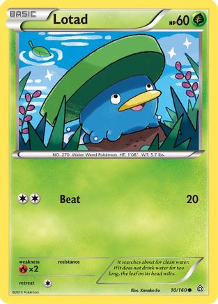 Lotad 10/160 - XY Primal Clash