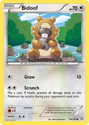 Bidoof 116/160 - XY Primal Clash