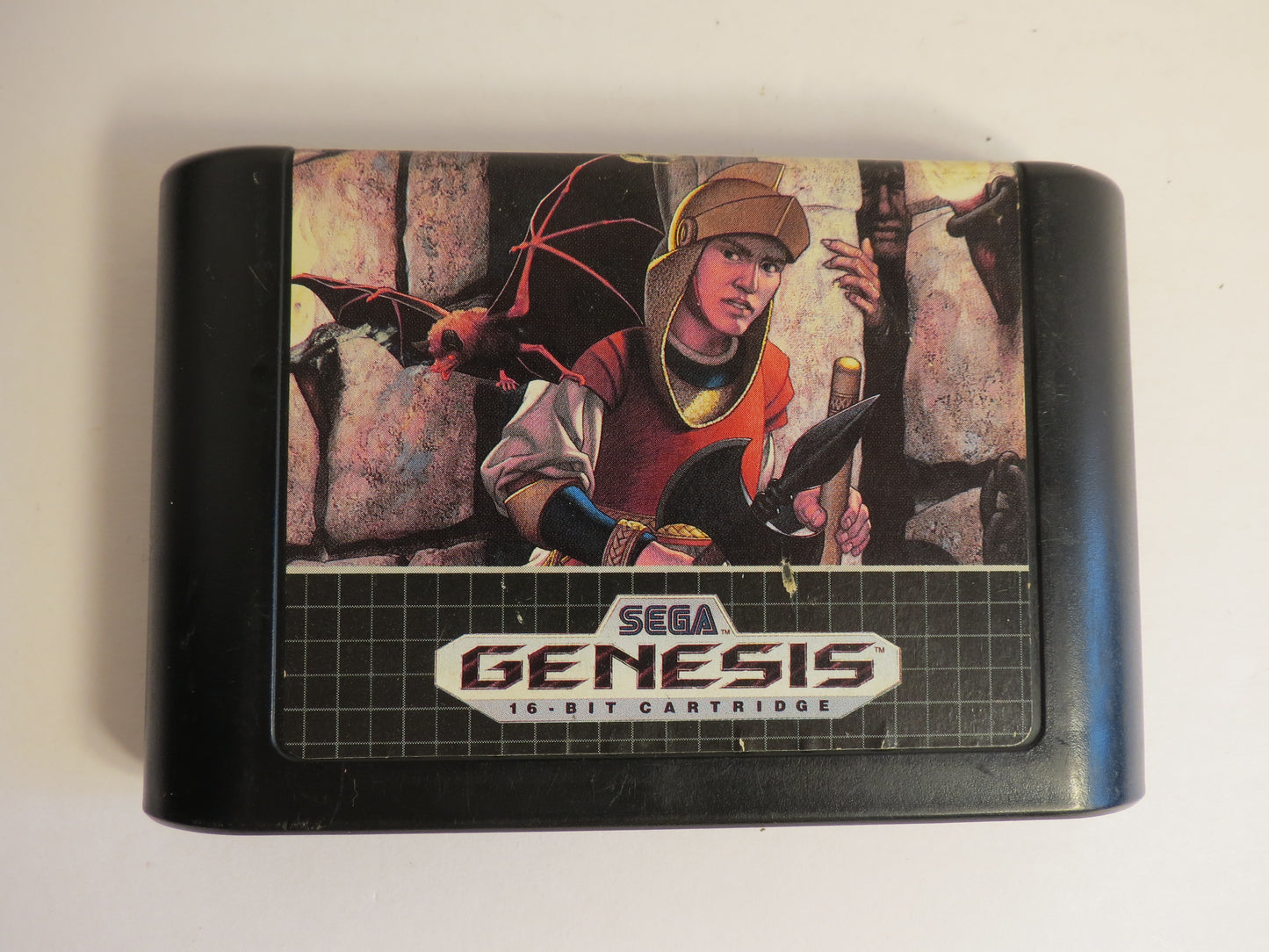 Fatal labyrinth Sega Genesis Game