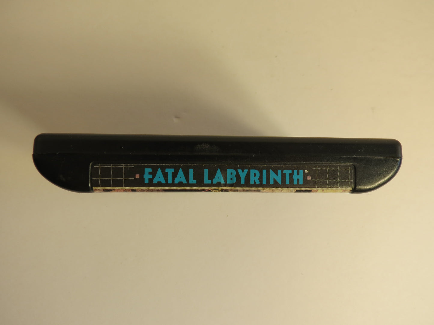 Fatal labyrinth Sega Genesis Game
