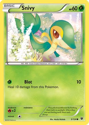 Snivy 5/124 - XY  Fates Collide Reverse Holofoil