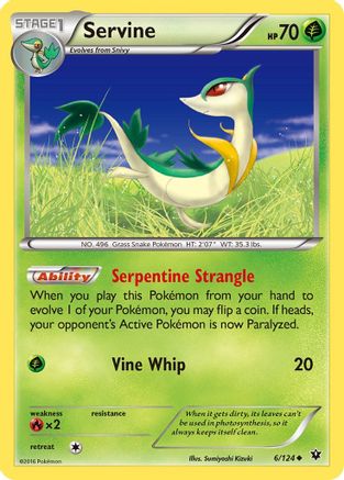 Servine 6/124 - XY  Fates Collide Reverse Holofoil