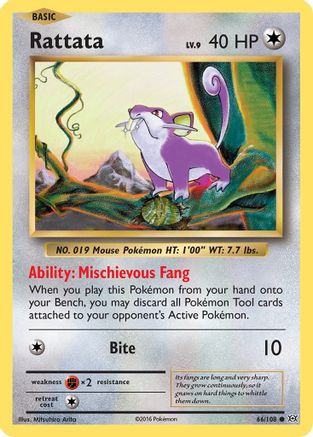 Rattata 66/108 - XY  Evolutions