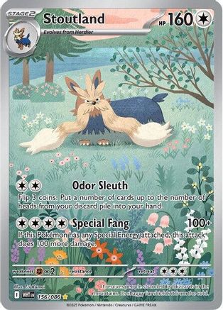 Stoutland - 155/086 155 - SV White Flare Holofoil