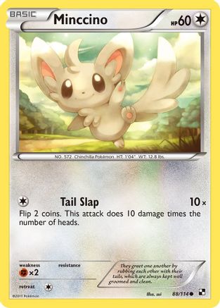Minccino 88/114 - Black and White