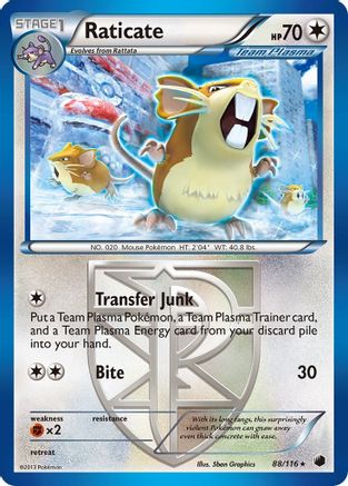 Raticate (Team Plasma) 88/116 - Plasma Freeze