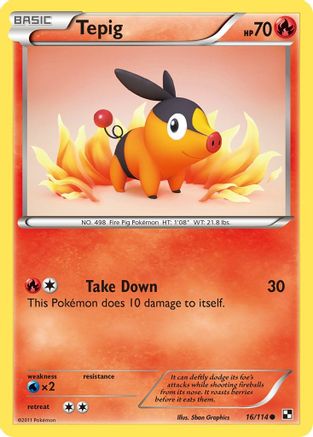 Tepig (16) 16/114 - Black and White