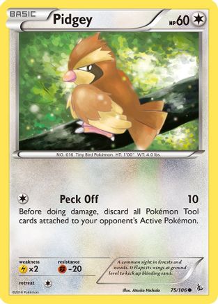 Pidgey 75/106 - XY  Flashfire