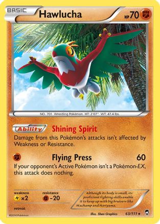 Hawlucha 63/111 - XY  Furious Fists Holofoil
