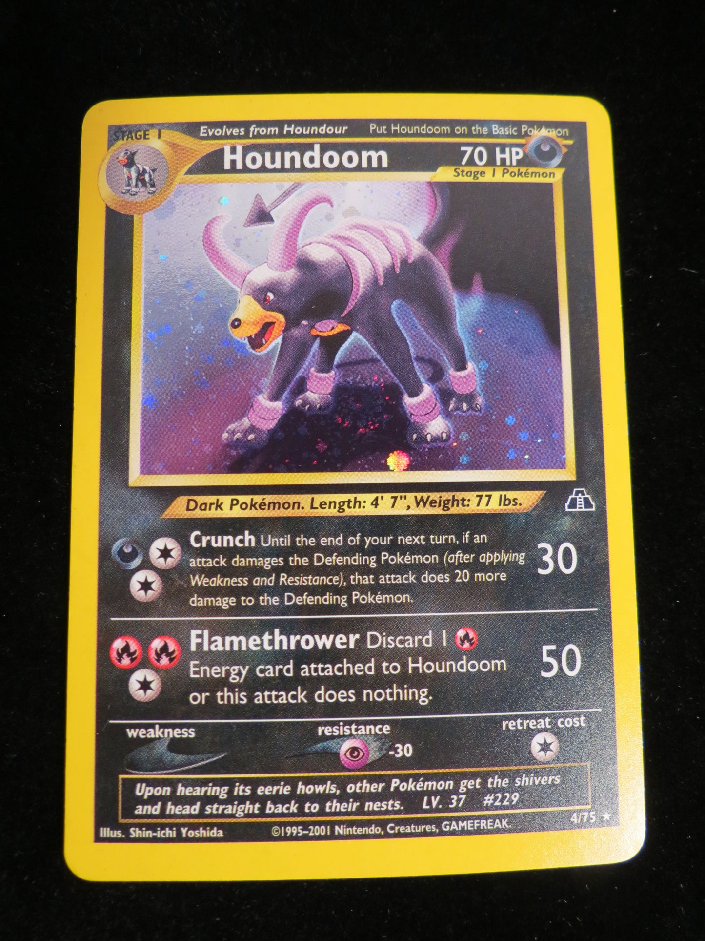 Houndoom (4) 4/75 - Neo Discovery Unlimited Holofoil